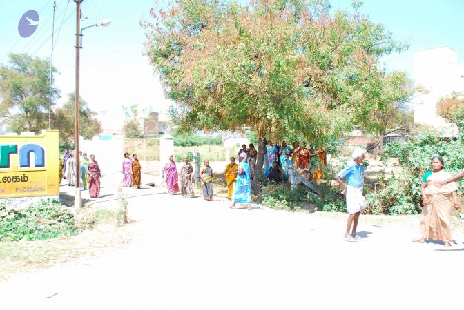 20090121 DSC 0189 CMP WM0001.jpg