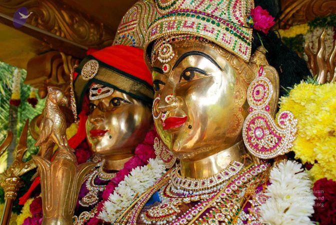 20090121 DSC 0685 CMP WM01.jpg