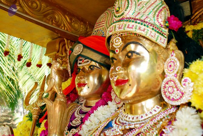 20090121 DSC 0686 CMP WM01.jpg