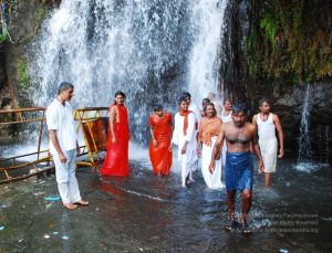 20090130 DSC 0144 CMP WM-05001.jpg