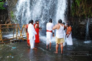 20090130 DSC 0149 CMP WM-0701.jpg