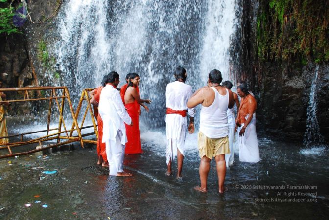 20090130 DSC 0149 CMP WM-0701.jpg