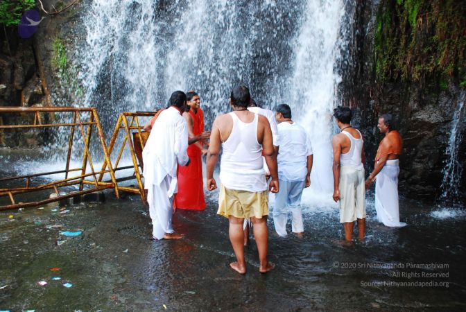 20090130 DSC 0150 CMP WM-0801.jpg