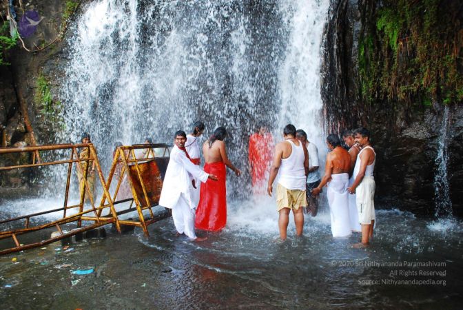 20090130 DSC 0153 CMP WM-1101.jpg