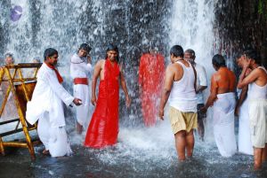 20090130 DSC 0155 CMP WM-13001.jpg