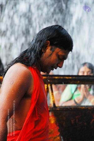 20090130 DSC 0160 CMP WM-1501.jpg