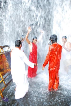 20090130 DSC 0171 CMP WM-23001.jpg