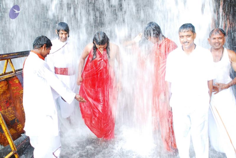 File:20090130 DSC 0179 CMP WM-2901.jpg