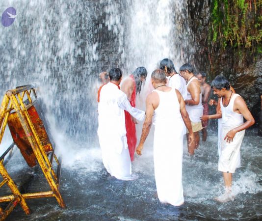 20090130 DSC 0182 CMP WM-3201.jpg