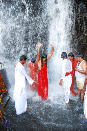 20090130 DSC 0185 CMP WM-35001.jpg