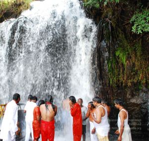 20090130 DSC 0189 CMP WM-3901.jpg