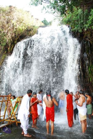 20090130 DSC 0191 CMP WM-4101.jpg