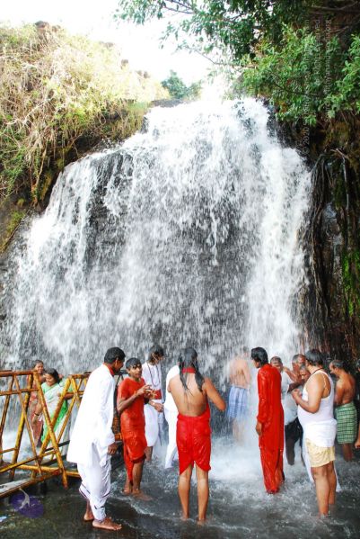 File:20090130 DSC 0191 CMP WM-4101.jpg