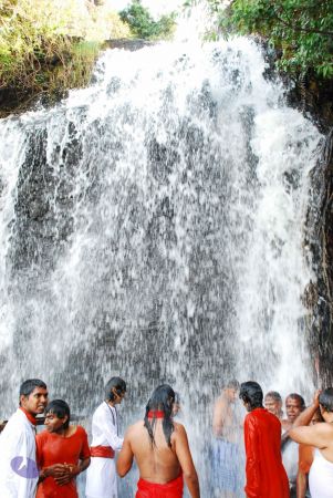 20090130 DSC 0192 CMP WM-4201.jpg