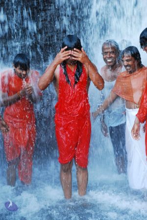 20090130 DSC 0195 CMP WM-4401.jpg