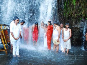 20090130 DSC 0200 CMP WM-49001.jpg