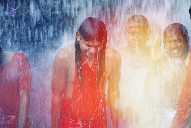 20090130 DSC 0203 CMP WM-5101.jpg