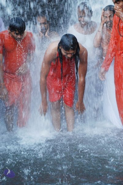 File:20090130 DSC 0206 CMP WM-54001.jpg