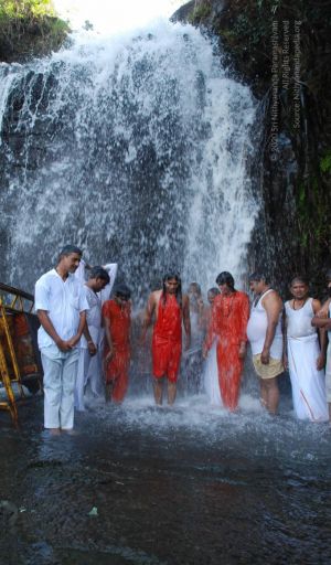 20090130 DSC 0208 CMP WM-56001.jpg