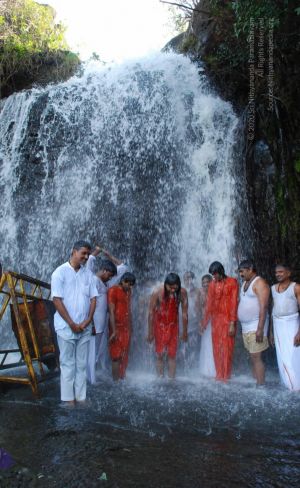 20090130 DSC 0209 CMP WM-5701.jpg