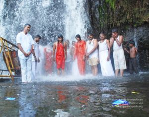 20090130 DSC 0211 CMP WM-59001.jpg