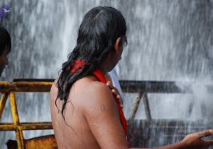 20090130 DSC 0222 CMP WM-68001.jpg