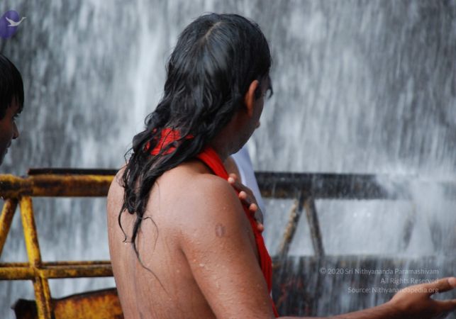 20090130 DSC 0222 CMP WM-6801.jpg