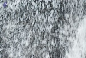 20090130 DSC 0224 CMP WM-70001.jpg