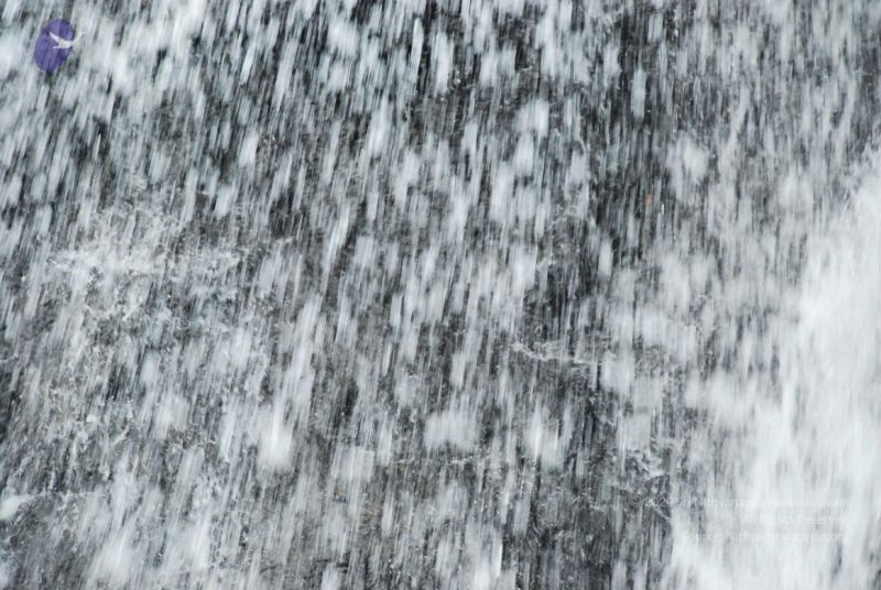 File:20090130 DSC 0224 CMP WM-70001.jpg