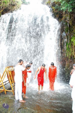 20090130 DSC 0227 CMP WM-73001.jpg