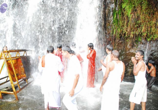 20090130 DSC 0234 CMP WM-7901.jpg