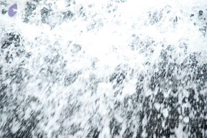 20090130 DSC 0236 CMP WM-81001.jpg