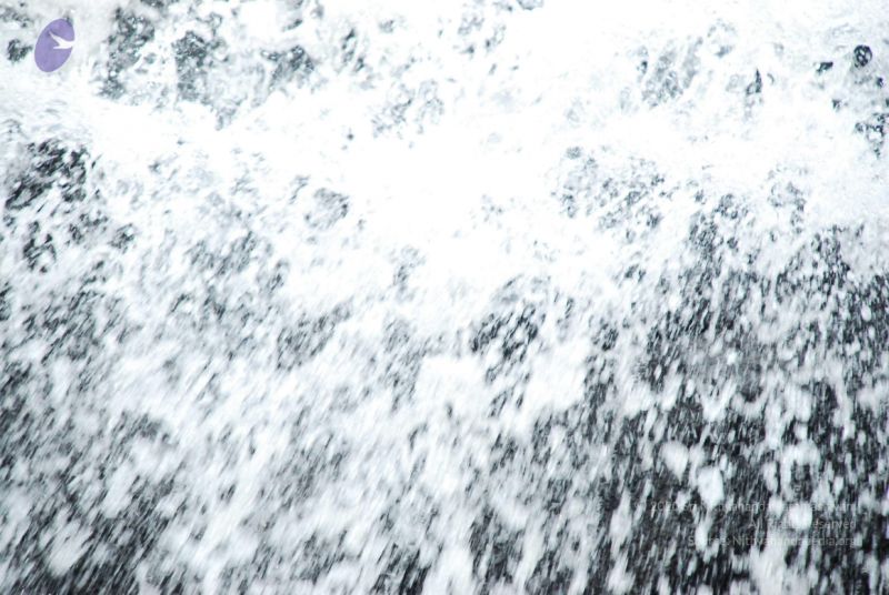 File:20090130 DSC 0236 CMP WM-81001.jpg