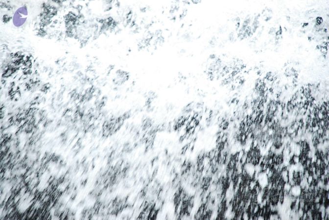 20090130 DSC 0236 CMP WM-8101.jpg