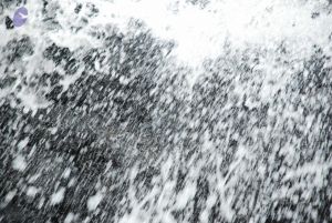 20090130 DSC 0237 CMP WM-82001.jpg