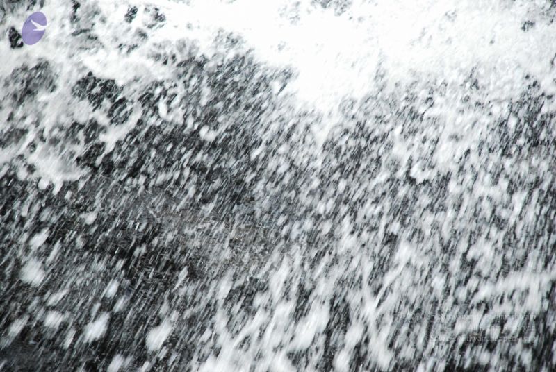 File:20090130 DSC 0237 CMP WM-82001.jpg