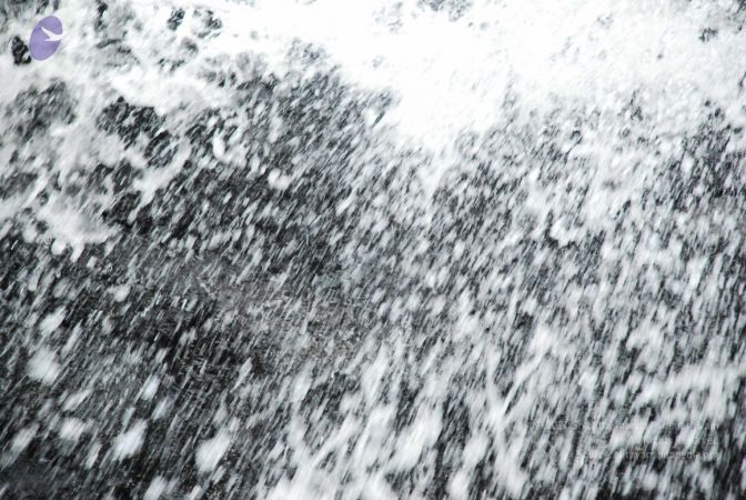 20090130 DSC 0237 CMP WM-8201.jpg