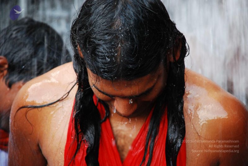 File:20090130 DSC 0251 CMP WM-91001.jpg