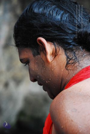 20090130 DSC 0266 CMP WM-102001.jpg