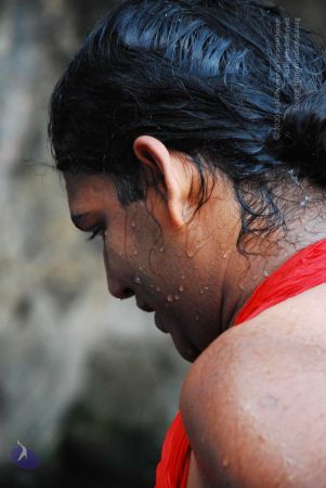 20090130 DSC 0266 CMP WM-10201.jpg