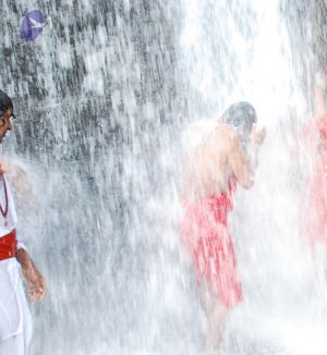 20090130 DSC 0270 CMP WM-106001.jpg