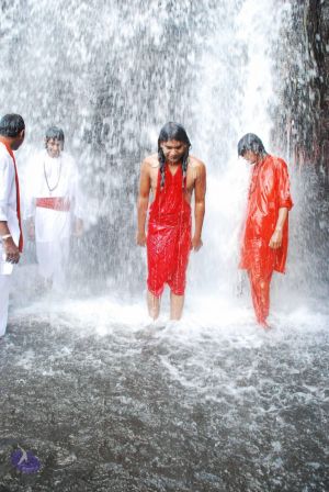 20090130 DSC 0272 CMP WM-10801.jpg