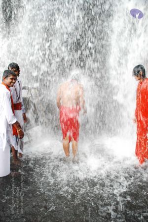 20090130 DSC 0278 CMP WM-11301.jpg