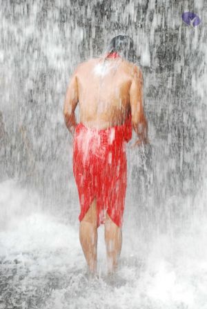 20090130 DSC 0279 CMP WM-11401.jpg