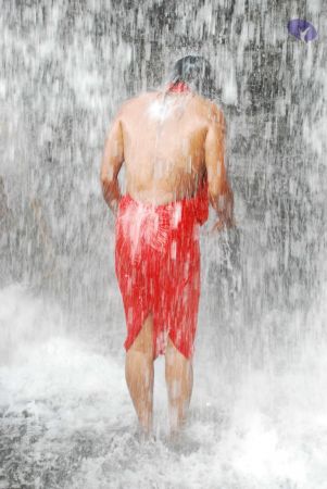 20090130 DSC 0279 CMP WM-11401.jpg