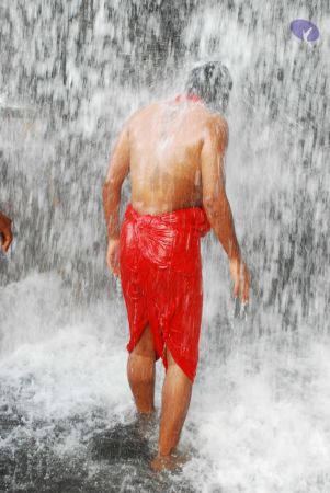 20090130 DSC 0280 CMP WM-11501.jpg