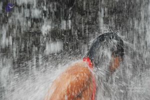 20090130 DSC 0294 CMP WM-12601.jpg