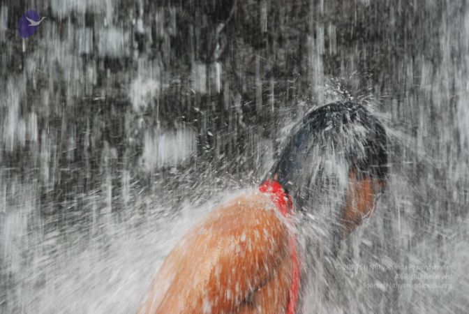 20090130 DSC 0294 CMP WM-12601.jpg