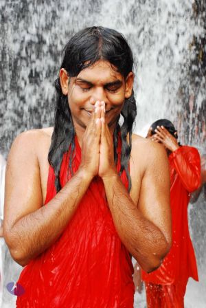 20090130 DSC 0300 CMP WM-131001.jpg