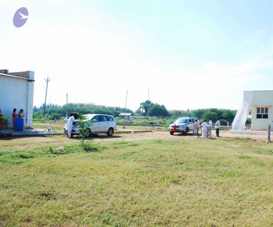 20090130 DSC 0411 CMP WM00-1.jpg